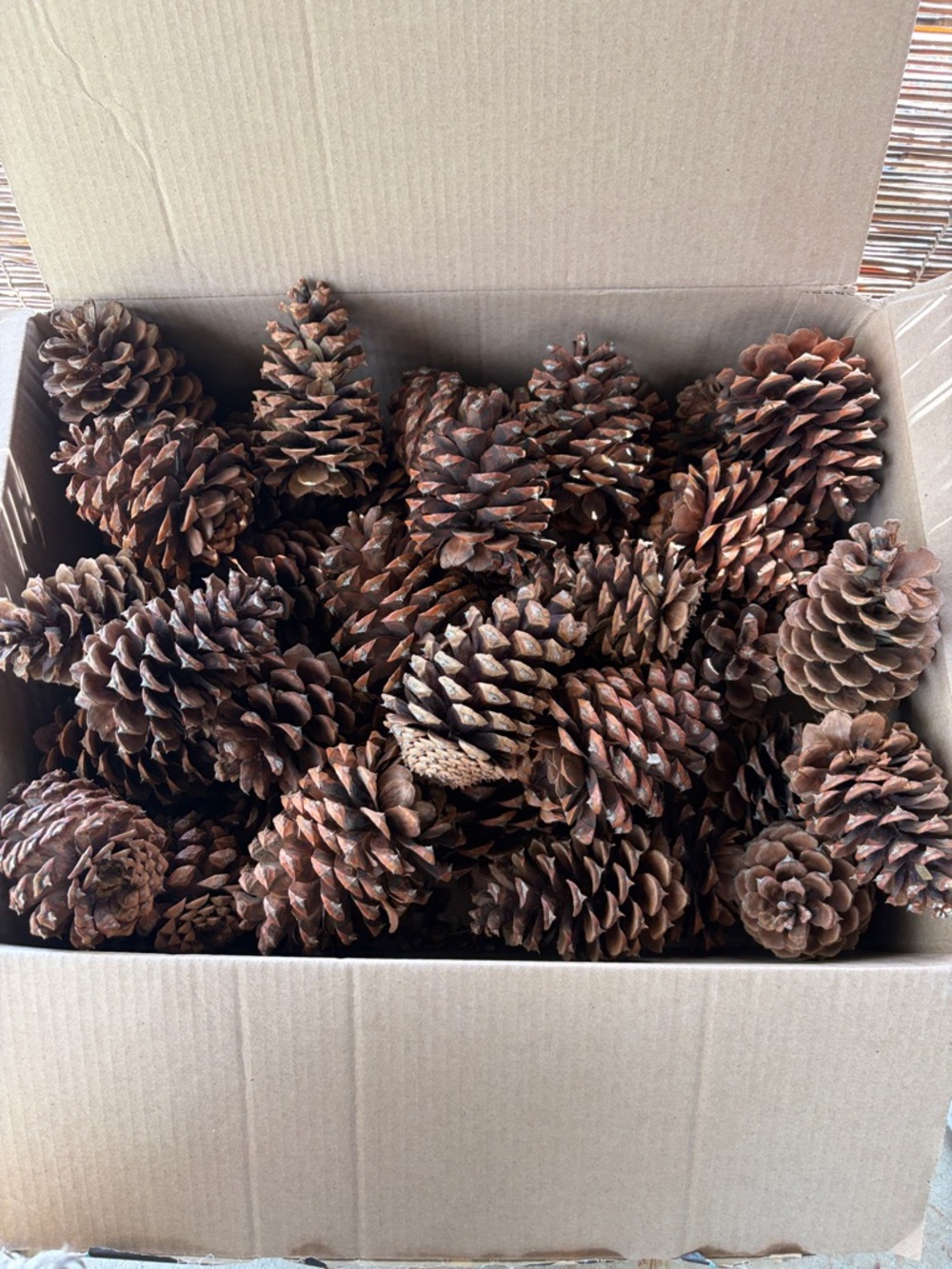 Box of Natural Brown Pine Cones - Craft & Décor